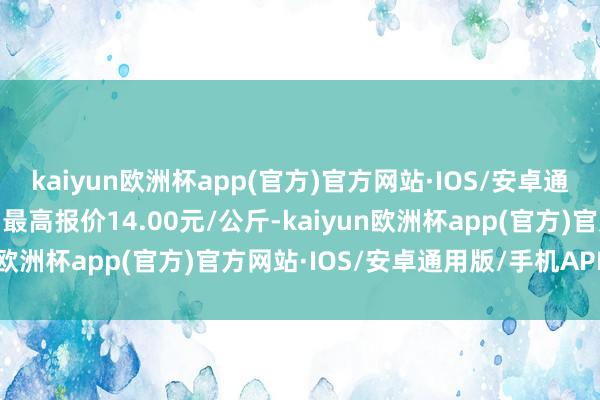 kaiyun欧洲杯app(官方)官方网站·IOS/安卓通用版/手机APP下载当日最高报价14.00元/公斤-kaiyun欧洲杯app(官方)官方网站·IOS/安卓通用版/手机APP下载