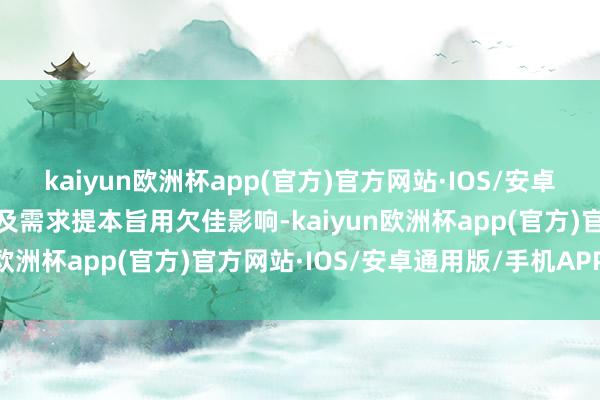 kaiyun欧洲杯app(官方)官方网站·IOS/安卓通用版/手机APP下载以及需求提本旨用欠佳影响-kaiyun欧洲杯app(官方)官方网站·IOS/安卓通用版/手机APP下载