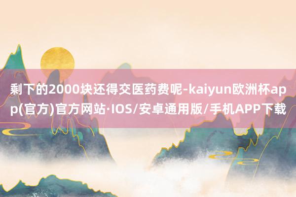 剩下的2000块还得交医药费呢-kaiyun欧洲杯app(官方)官方网站·IOS/安卓通用版/手机APP下载