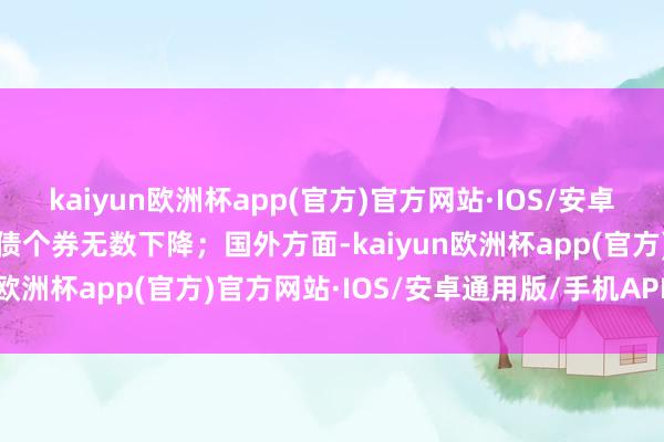 kaiyun欧洲杯app(官方)官方网站·IOS/安卓通用版/手机APP下载转债个券无数下降；国外方面-kaiyun欧洲杯app(官方)官方网站·IOS/安卓通用版/手机APP下载