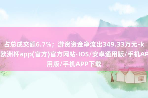 占总成交额6.7%；游资资金净流出349.33万元-kaiyun欧洲杯app(官方)官方网站·IOS/安卓通用版/手机APP下载